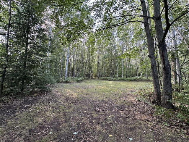 view of local wilderness