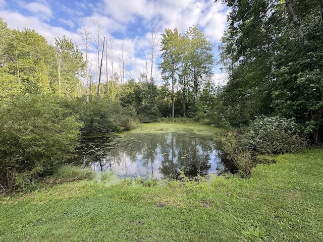 view of water feature