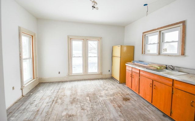 kitchen with a healthy amount of sunlight, fridge, sink, and light hardwood / wood-style floors