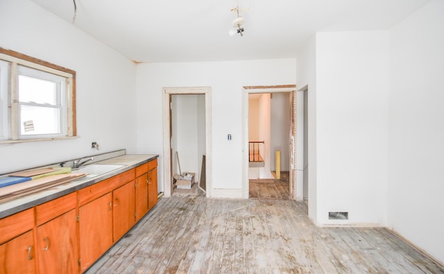 bathroom featuring wood-type flooring and sink