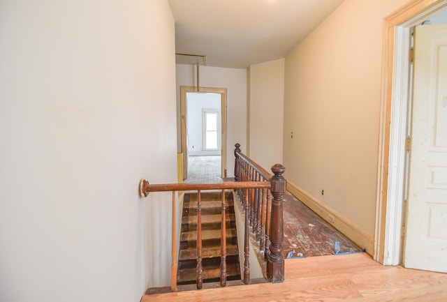 hall with hardwood / wood-style flooring