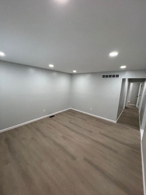 basement featuring wood-type flooring