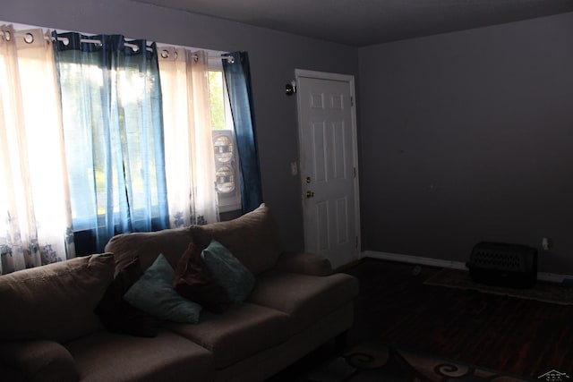 living room with hardwood / wood-style floors