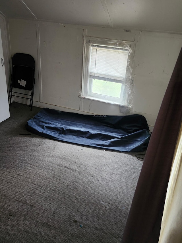 249 Washington Ave, Muskegon, MI 49441 - interior space with carpet flooring