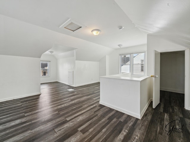 9941 Minock St, Detroit, MI 48228 - bonus room featuring lofted ceiling and dark hardwood / wood-style flooring