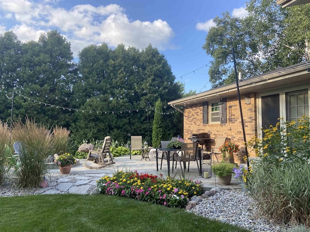 view of yard featuring a patio