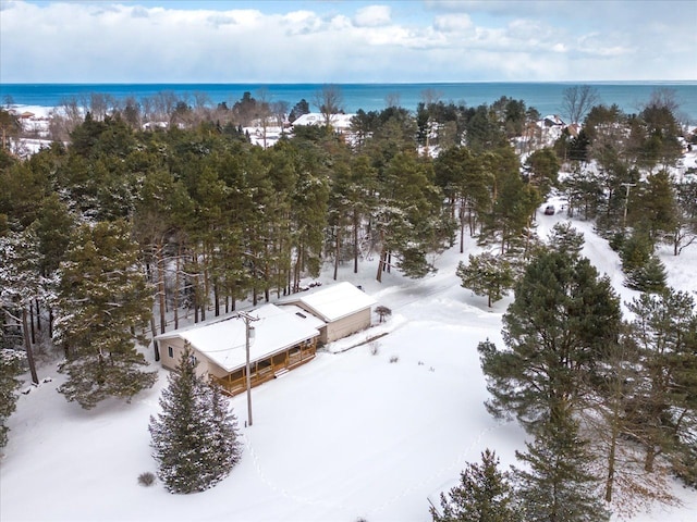 snowy aerial view with a water view