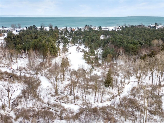 snowy aerial view with a water view