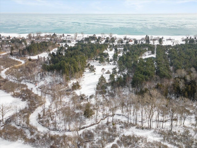 snowy aerial view with a water view