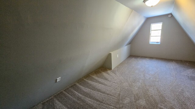 additional living space with carpet floors and vaulted ceiling