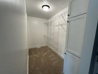 walk in closet with carpet