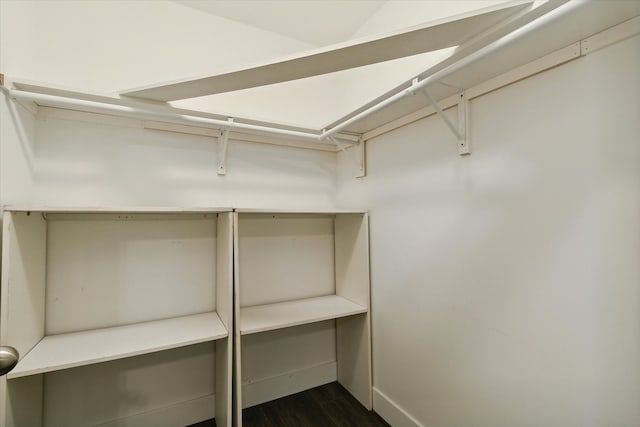 spacious closet featuring dark hardwood / wood-style flooring