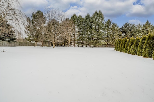 view of yard layered in snow