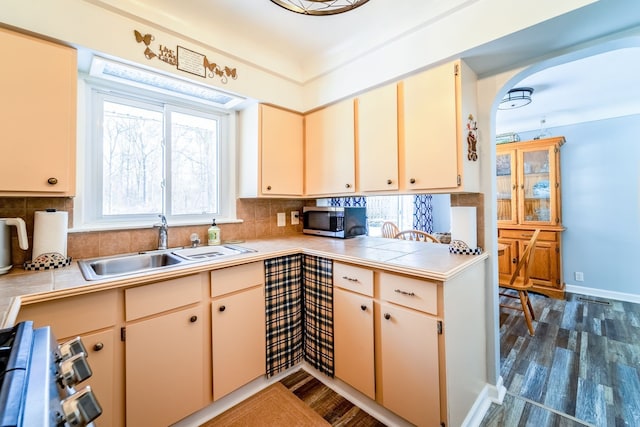 kitchen with sink, backsplash, range, and dark hardwood / wood-style floors