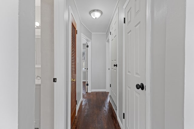 hallway featuring dark wood-type flooring