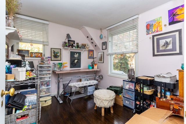 home office featuring hardwood / wood-style flooring