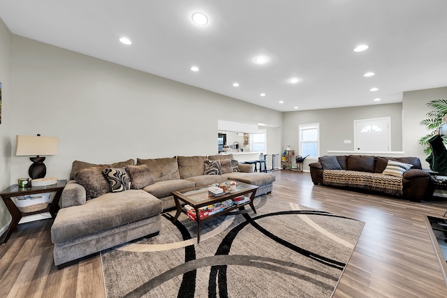 living room with wood-type flooring