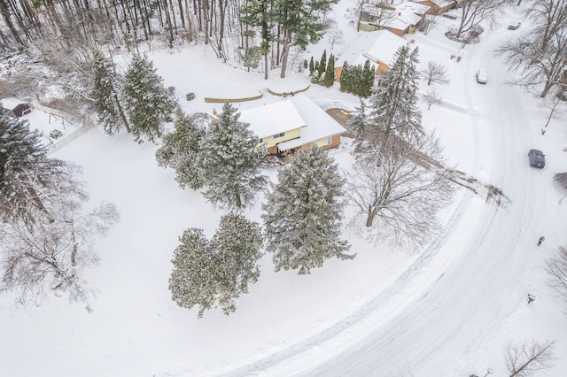 view of snowy aerial view