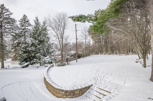 view of yard layered in snow