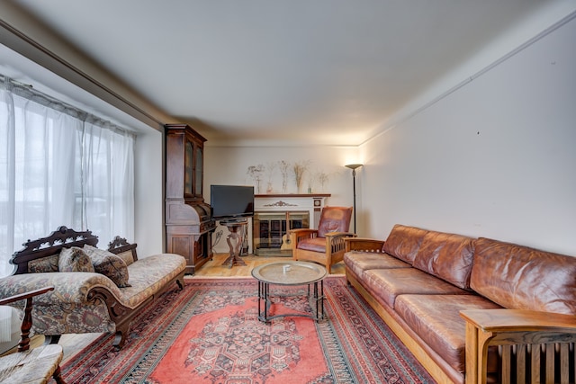 living area with a glass covered fireplace and wood finished floors