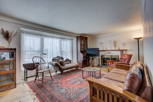 living area featuring light wood-type flooring and a glass covered fireplace