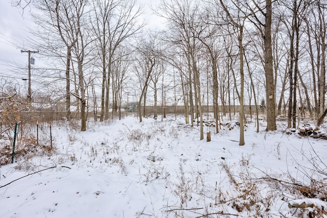 view of yard covered in snow