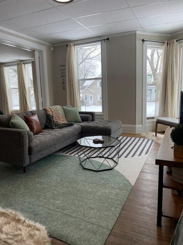 living room featuring a healthy amount of sunlight, hardwood / wood-style flooring, a paneled ceiling, and ornamental molding