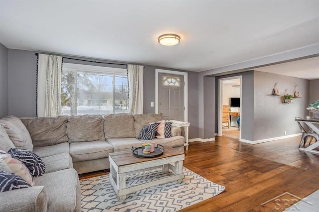 living room featuring wood-type flooring