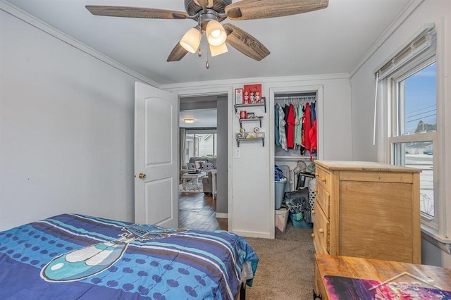 bedroom with a closet, ceiling fan, carpet flooring, and ornamental molding