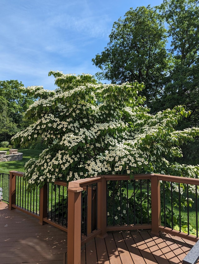 view of wooden terrace