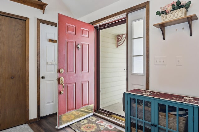 entrance foyer with lofted ceiling and dark hardwood / wood-style flooring