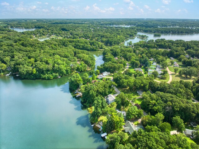 159 Westshore Dr, Jerome, MI 49249 - photo 43
