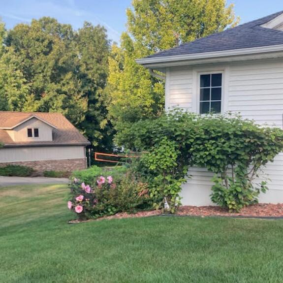 159 Westshore Dr, Jerome, MI 49249 - photo 50