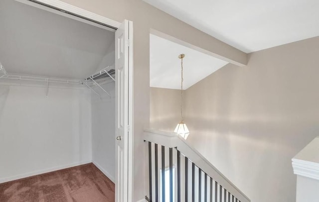 walk in closet featuring vaulted ceiling with beams and carpet flooring