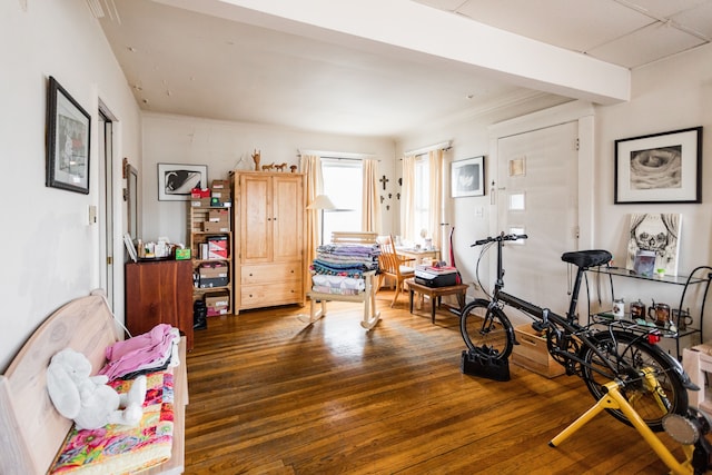 workout room featuring wood-type flooring