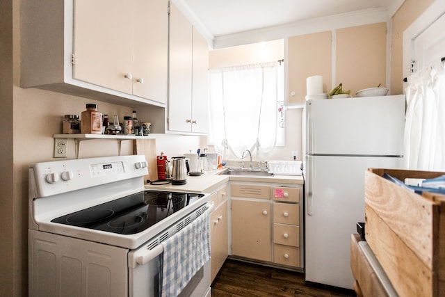 kitchen with white appliances, dark wood-style floors, light countertops, crown molding, and a sink