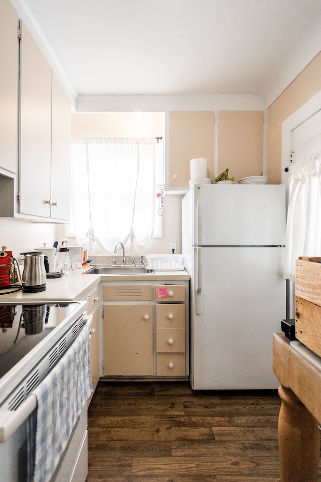 kitchen featuring white appliances, a sink, light countertops, ornamental molding, and dark wood-style floors