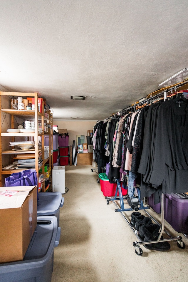 walk in closet with carpet floors