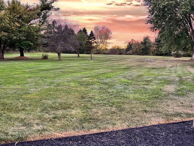 view of yard at dusk