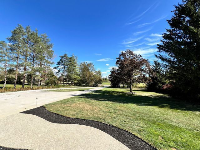 view of yard with concrete driveway