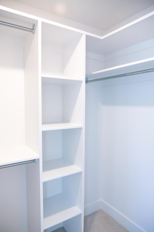 spacious closet with carpet floors