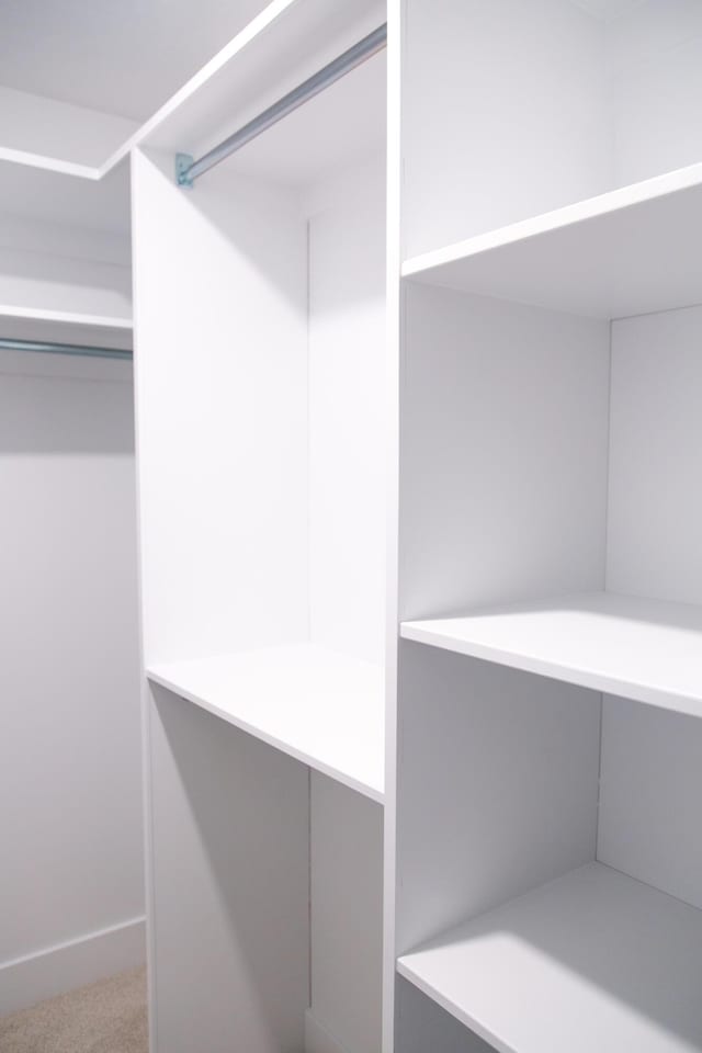 spacious closet with carpet flooring