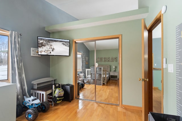 14113 Grandview Dr, Cement City, MI 49233 - bedroom featuring wood finished floors and a closet