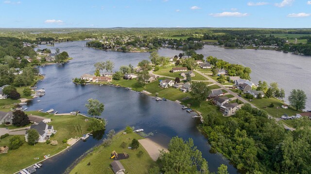 14113 Grandview Dr, Cement City, MI 49233 - birds eye view of property with a residential view and a water view