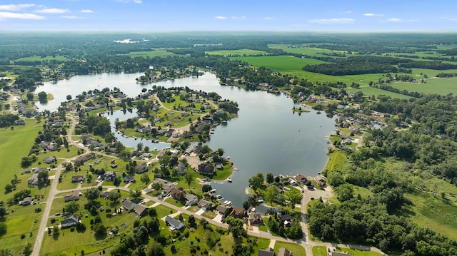 14113 Grandview Dr, Cement City, MI 49233 - birds eye view of property with a water view