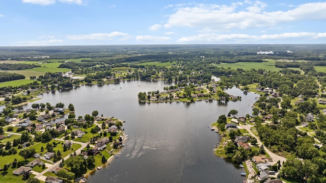 14113 Grandview Dr, Cement City, MI 49233 - aerial view featuring a residential view and a water view