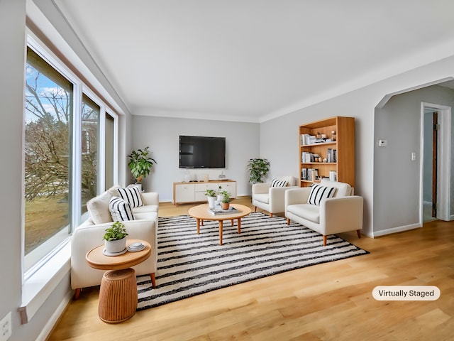 living room featuring light hardwood / wood-style floors