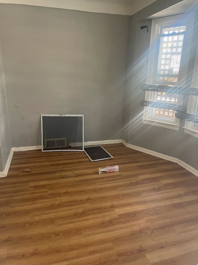 empty room featuring wood-type flooring