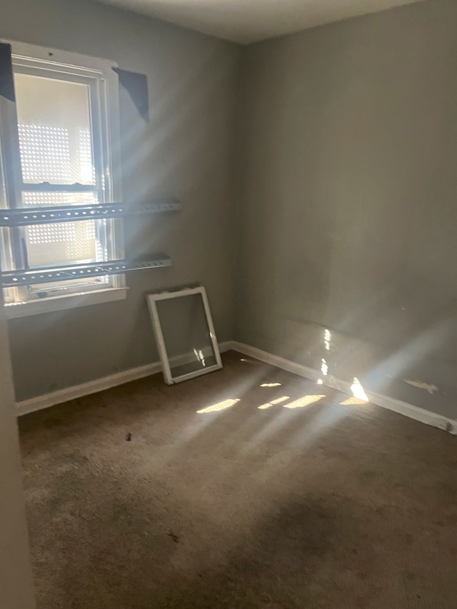 unfurnished room with carpet flooring