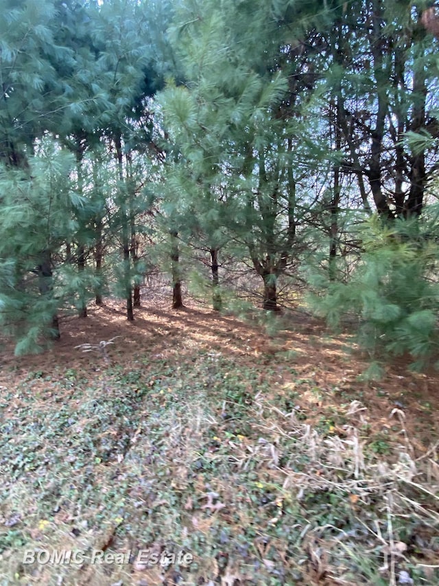 view of landscape